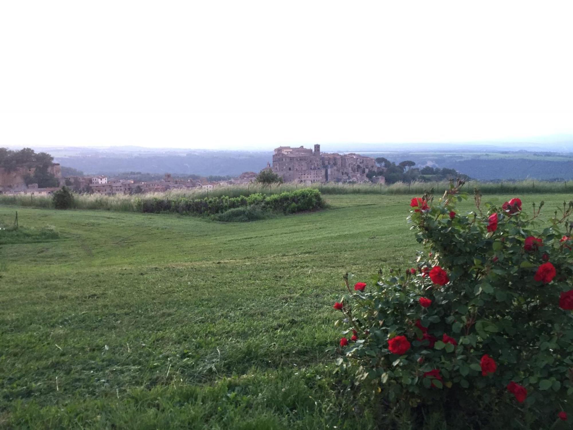 Agriturismo Le Querce Bomarzo Buitenkant foto